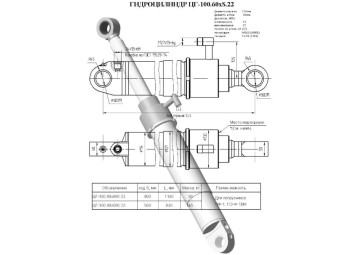 ЦГ-100.60х800.22