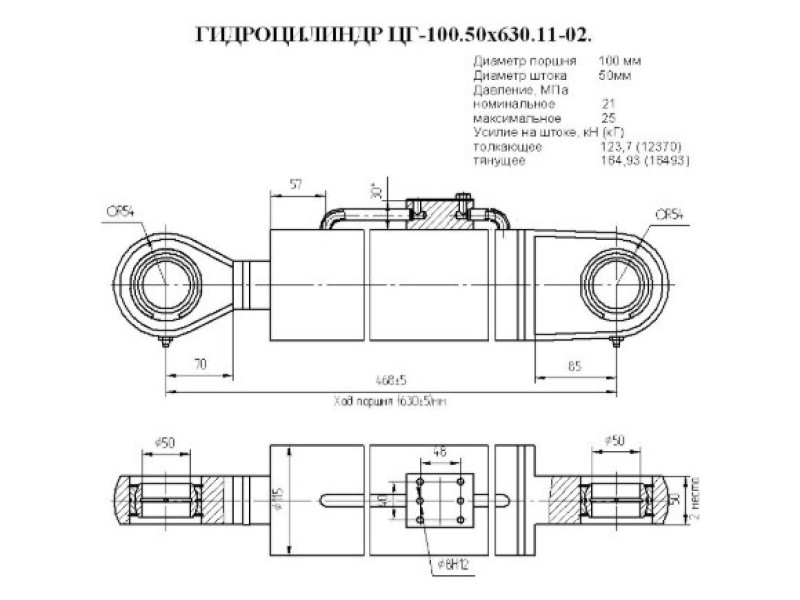 ЦГ-100.50х630.11-02