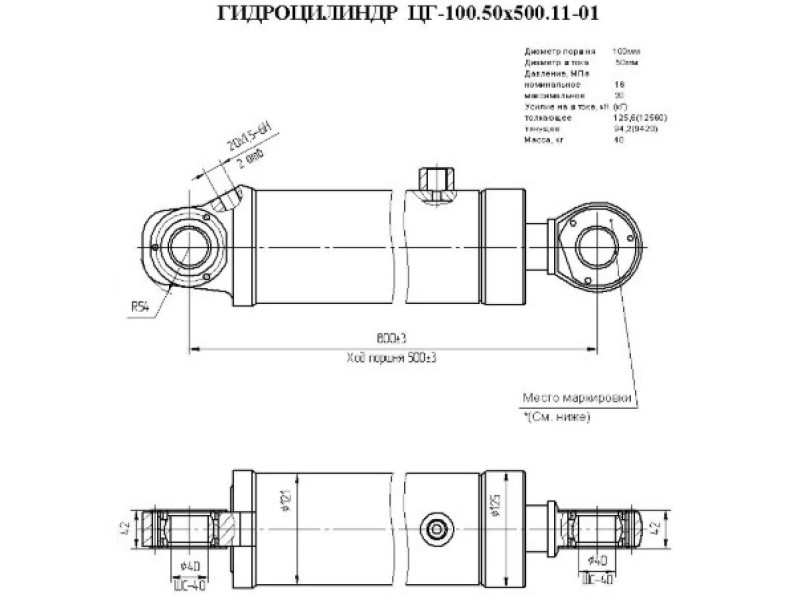 ЦГ-100.50х500.11-01