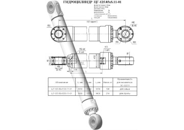 ЦГ-125.85х1250.11-01